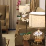 ديكور جميل 