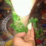طريقه عمل شلال مياه من الجره والشمع الاصق والقواقع البحريه روعه