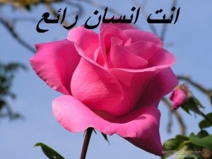 انت رائع بهذى الصفات !!