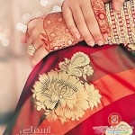 نقش حناء للعروسه 2014  نقوش حناء رهيبه 2015  نقوش حناء