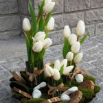 صور  ورد روعه جدا