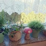 تحف وزينه ادوات للمطبخ روعه