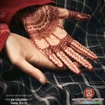 نقش حناء للعروسه 2014  نقوش حناء رهيبه 2015  نقوش حناء