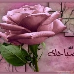 اجمل الصور الصباحية و المسائيه 