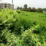 صور #إب_جنة_اليمن 