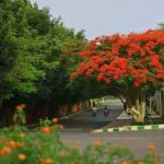 صور #إب_جنة_اليمن 