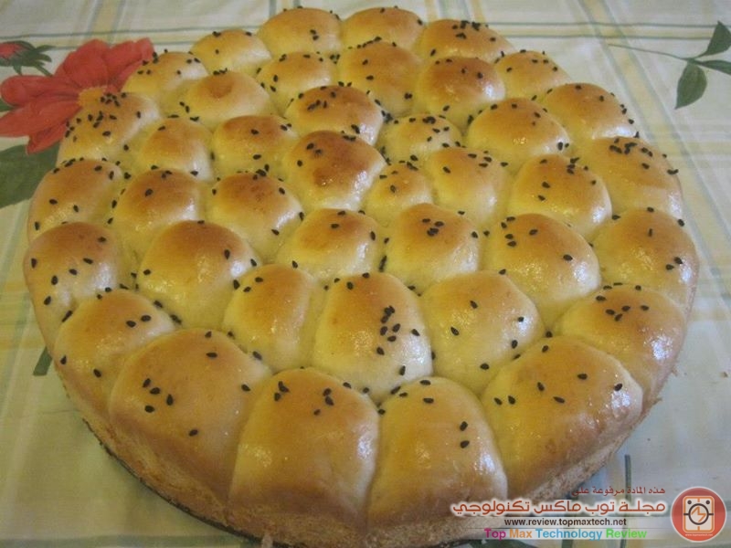 خلية النحل روعه 
