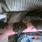 صور أجمل نقشات حناء راقيه للصبايا 2014 