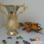 مزهريات مطلية بالذهب والفضة