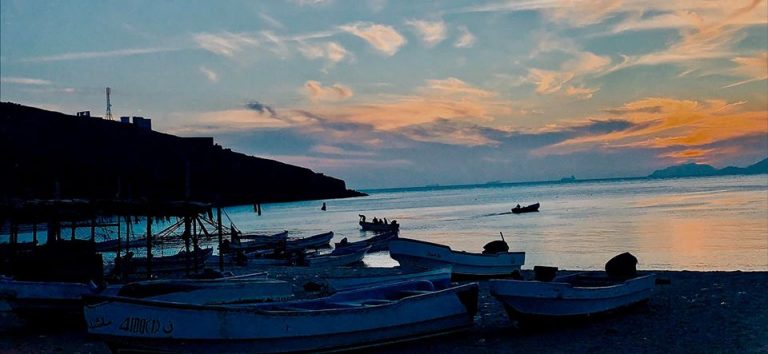 صور من عدن