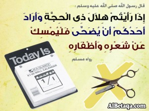 87255.imgcache
