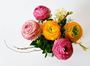 صور جديدة ورد