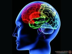 التخلف العقلي واسبابة