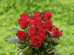 rose bouquet wallpaper