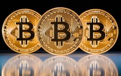 البيتكوين.. فقاعة اقتصادية أم ثورة رقمية؟