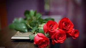 Flower-Rose1-Wallpaper-hd-1920x1080