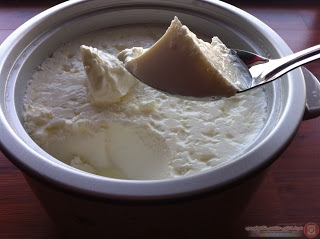 طريقة عمل اللبن الرائب (الزبادي)