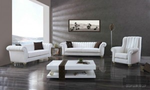 Modern+salon+21