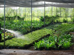 Nursery_01