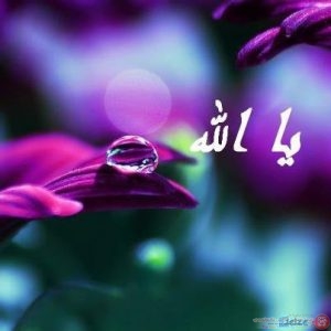 كلام من ذهب  نصائح من ذهب اجمل الكلام