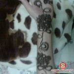 صور أجمل نقشات حناء راقيه للصبايا 2014
