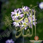 صور فيها اسماء الله تعالى