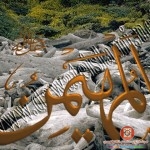 صور فيها اسماء الله تعالى