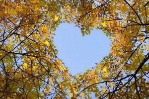 Spectacular-Hearts1