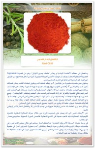 TopIndianSpices-01