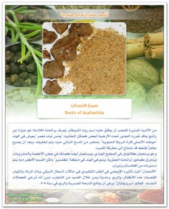 TopIndianSpices-03