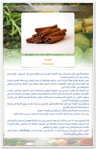 TopIndianSpices-04