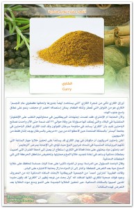 TopIndianSpices-06