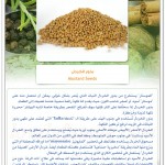 البهارات في طبخاتنا الخاصة