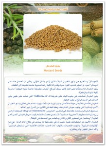 TopIndianSpices-07