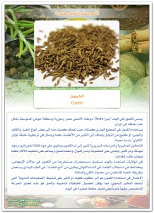 TopIndianSpices-08