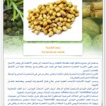 البهارات في طبخاتنا الخاصة