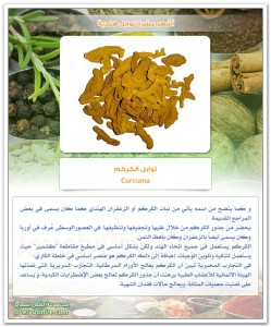 TopIndianSpices-10