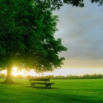  صور لنور الشمس عند الشروق‎ سبحان الله الخالق  جمال الطبيعة منظر مريح جدا 