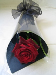 b152bb9f396cf711c9cd3bd6520cf94a