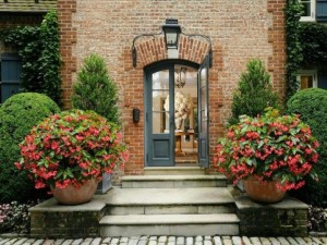 big-planters-718x539