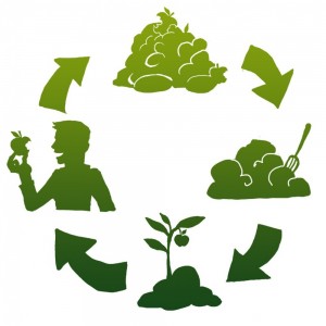 الكومبوست home made compost
