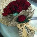 صور ورد طبيعي روعه2017 , ورد جوري تحفه وعليها قطرات الندىWard