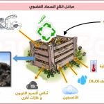 الكومبوست home made compost