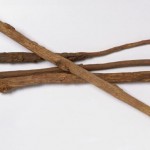 6 طرق طبيعية لعلاج التهابات الحلق والحنجرة