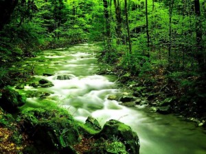 elmstba.com_1457069809_742