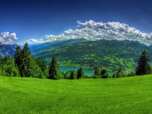 elmstba.com_1457069811_721