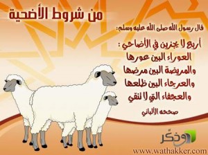 fe4f13c022af7907bc540b4fac45856d