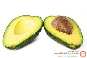 الأفوكادو avocado من الفاكهة والثمار الطيبة والمفيدة