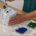 طريقة عمل حوض لنباتات الزينة من الزجاج المكسور