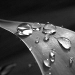 زخات المطر اروع مناظر لزخات المطر